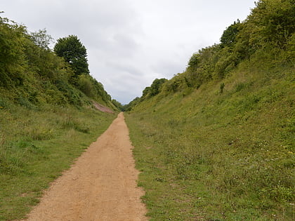 sewell cutting dunstable