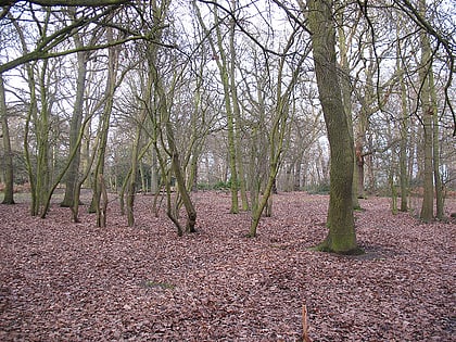 oxleas wood londres