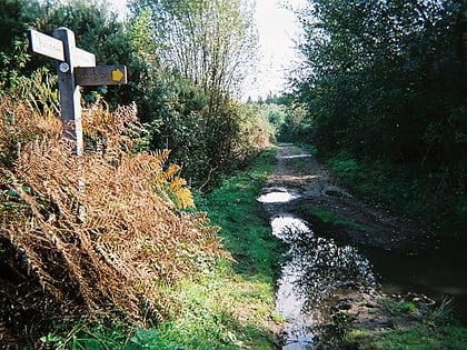 Ambersham Common