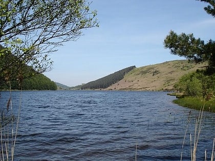 llyn geirionydd trefriw