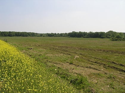 twyford wood