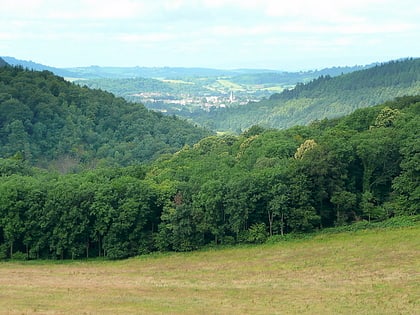 the doward letcombe valley