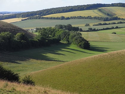 henwood down park narodowy south downs
