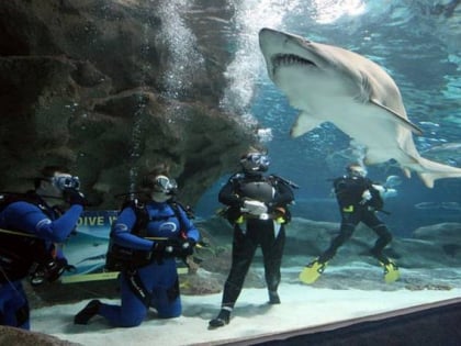 blue planet aquarium ellesmere port