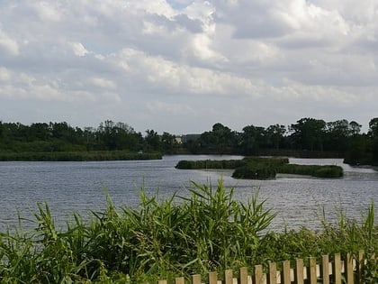 roswell pits