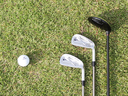 ivyleaf golf course driving range bude