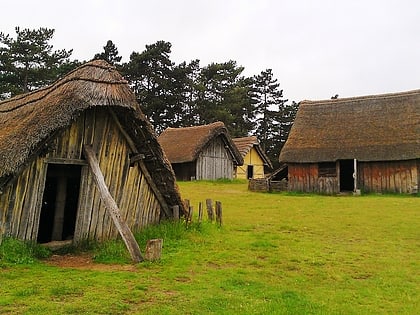 west stow anglo saxon village thetford forest