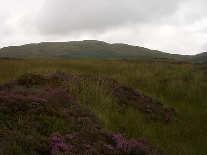 Foel Goch