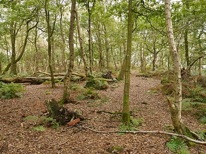 woodhouses hill fort