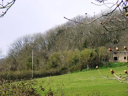 shiplate slait collines de mendip