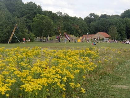 Hinchingbrooke Country Park