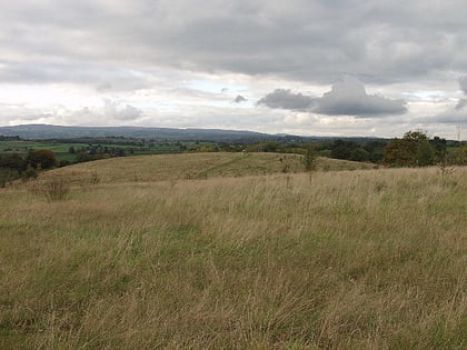 ifton meadows