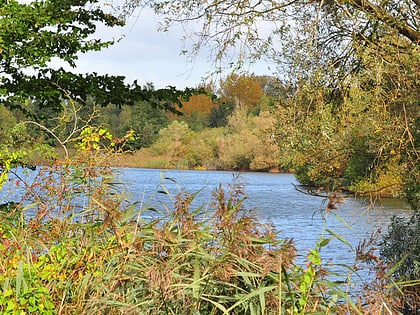 Little Paxton Pits