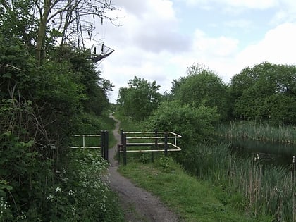 anson branch walsall