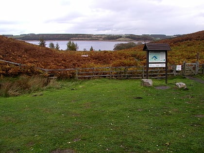 Pow Hill Bog