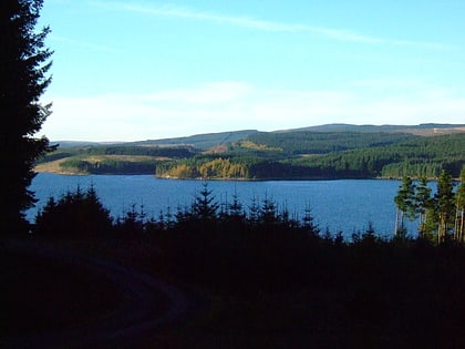 kielder forest