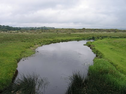 Narodowy Rezerwat Przyrody Cors Caron