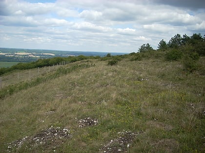 beacon hill sussex downs aonb