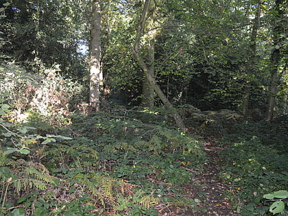 Longspring Wood