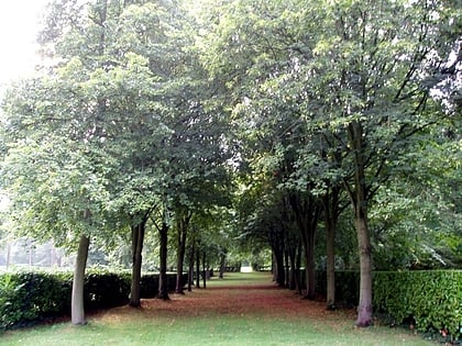 whipsnade tree cathedral