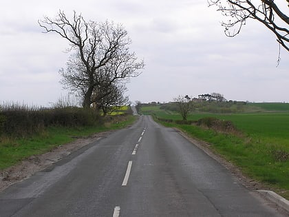 Cade's Road