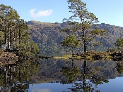 Eilean Ruairidh Mòr