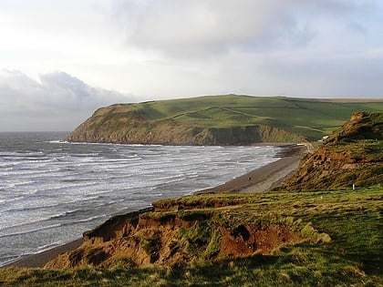 st bees