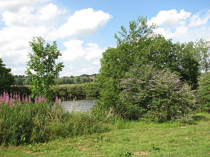 whitlingham marsh norwich