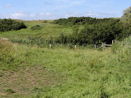 milton gate marsh newhaven