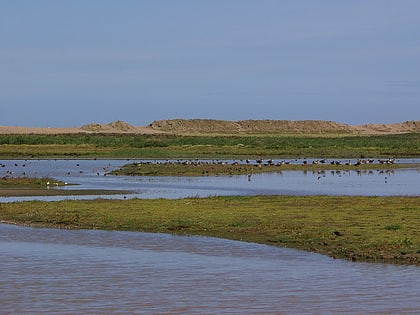 cley marshes blakeney