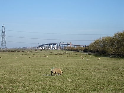 sheppey crossing isla de sheppey