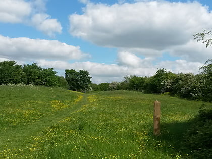 rede common strood