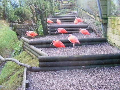 exmoor zoo barnstaple