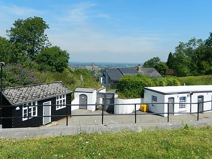 Henley Fort