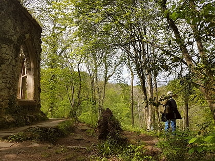 hack fall wood nidderdale aonb