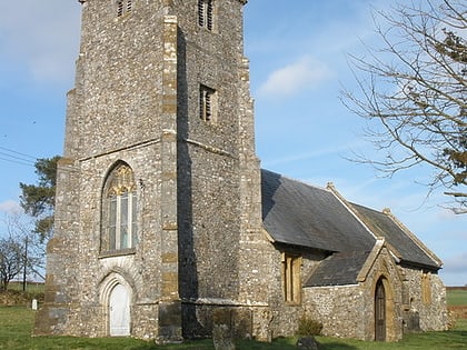 church of st leonard ringdown sssi