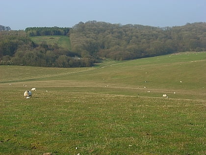 combe wood kintbury