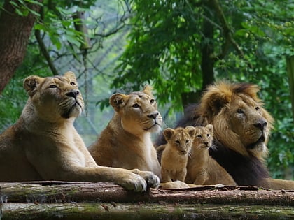 Paignton Zoo