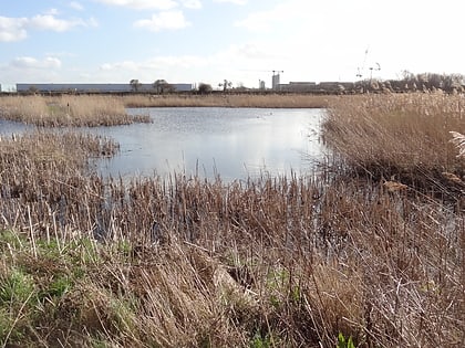 Crossness Nature Reserve