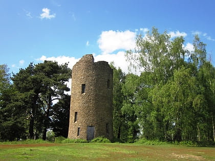 Chinthurst Hill