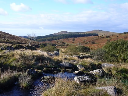 dartmoor