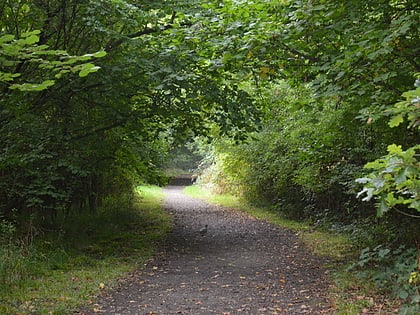 flitwick wood rezerwat przyrody norwood road