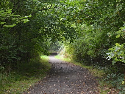 flitwick wood norwood road nature reserve