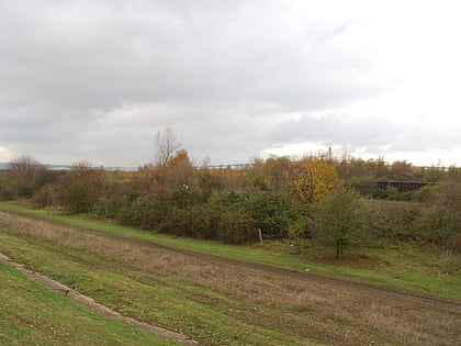 West Thurrock Lagoon and Marshes