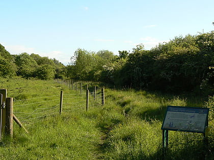 rezerwat przyrody wilwell farm nottingham