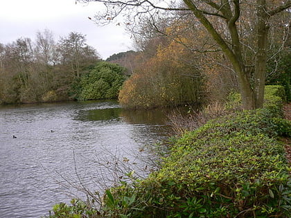 Forest Mere