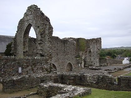 abbey of st mary aberteifi