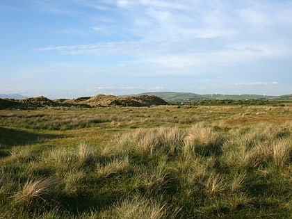 sandscale haws