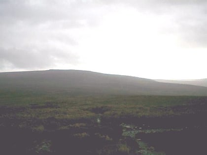 grit fell