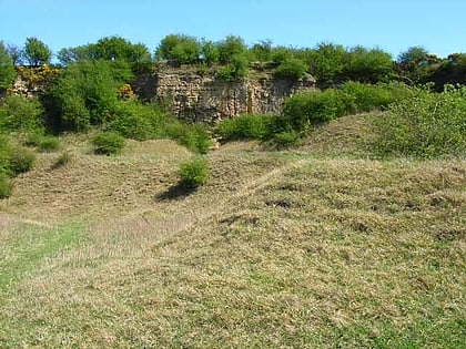 pittington hill